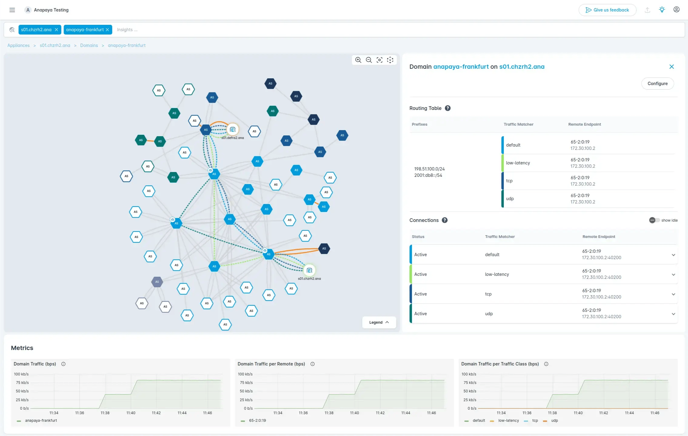 The Anapaya Console - Dashboard showing complete information for all owned nodes 