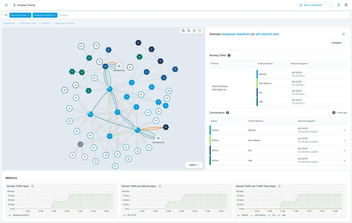 The Anapaya Console - Dashboard showing complete information for all owned nodes 