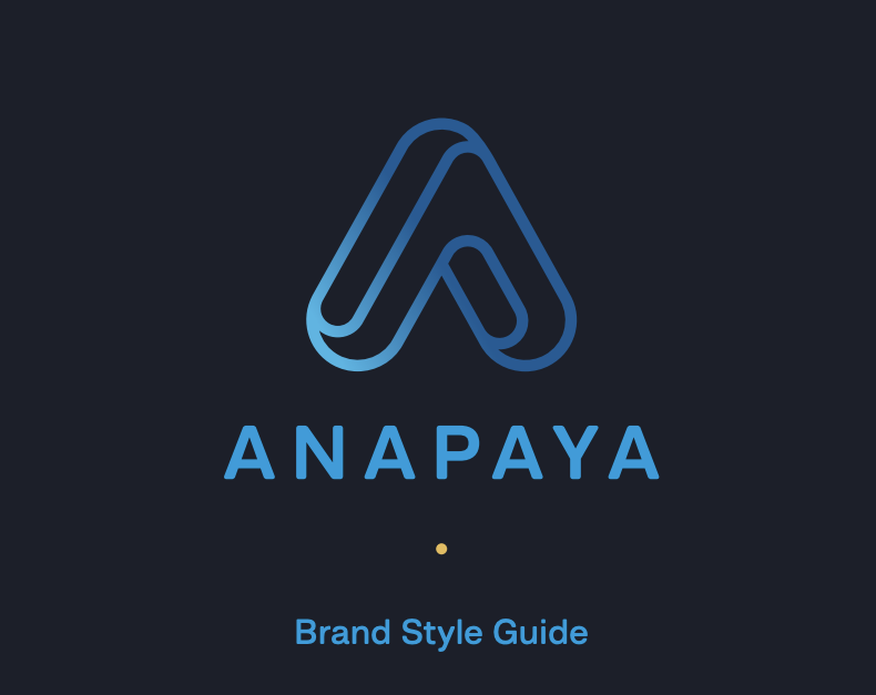 All Anapaya Brand Assets