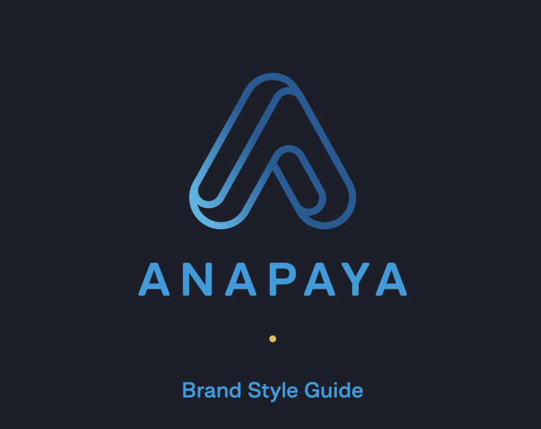 All Anapaya brand assets