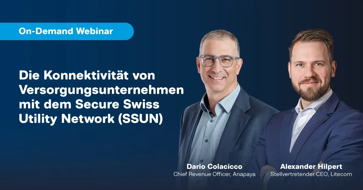On-Demand Webinar - Die Konnektivität von Versorgungsunternehmen mit dem Secure Swiss Utility Network (SSUN)