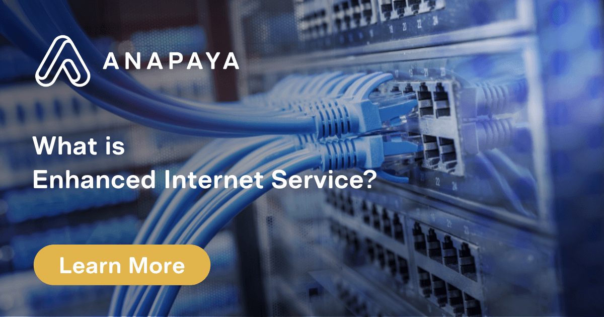 What is Enhanced Internet Service?