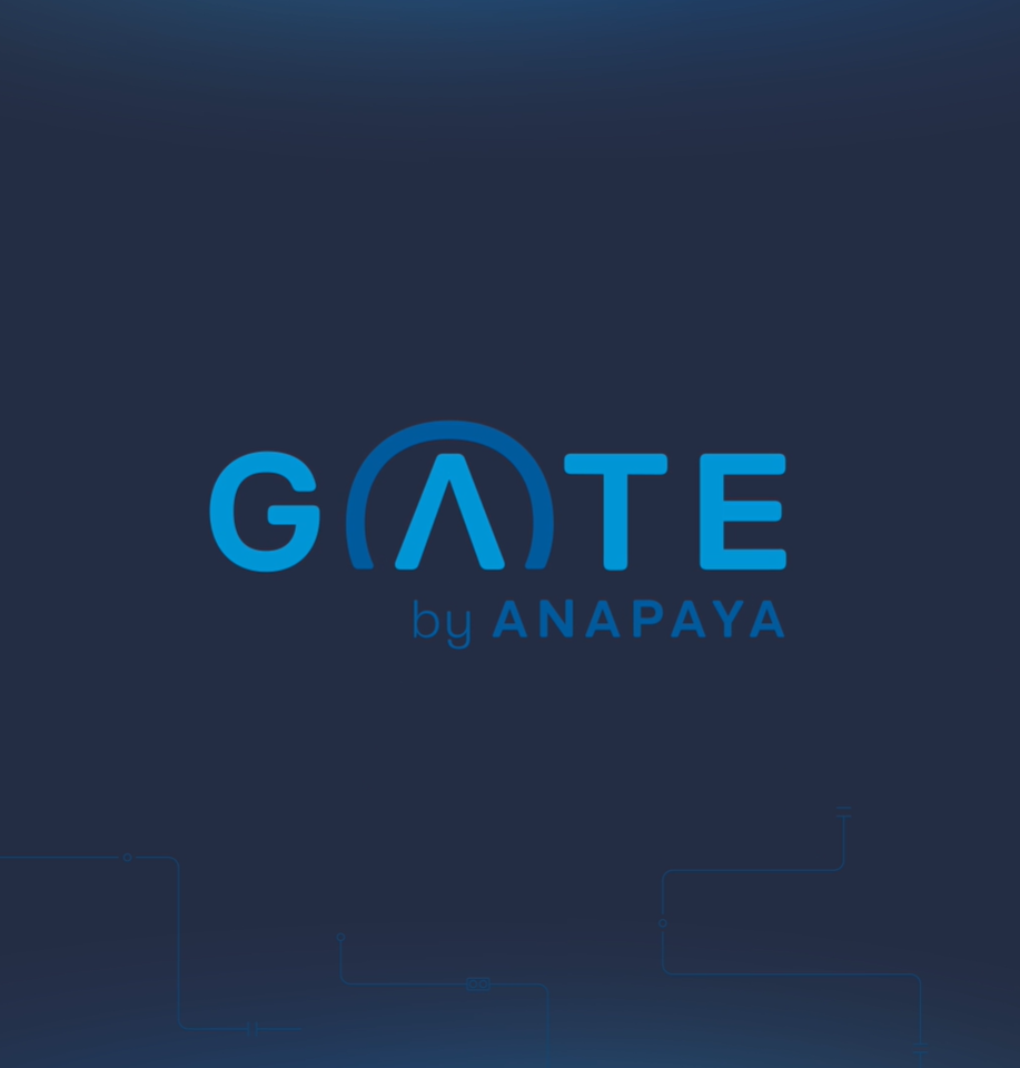 Anapaya GATE intro video