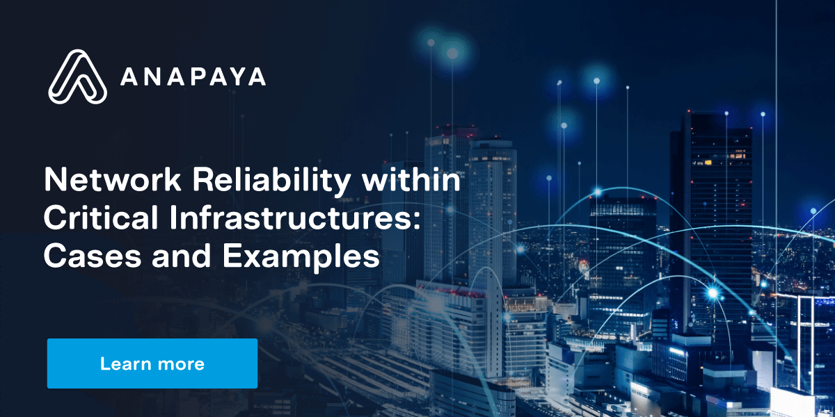 Network reliability within critical infrastructures: cases and examples