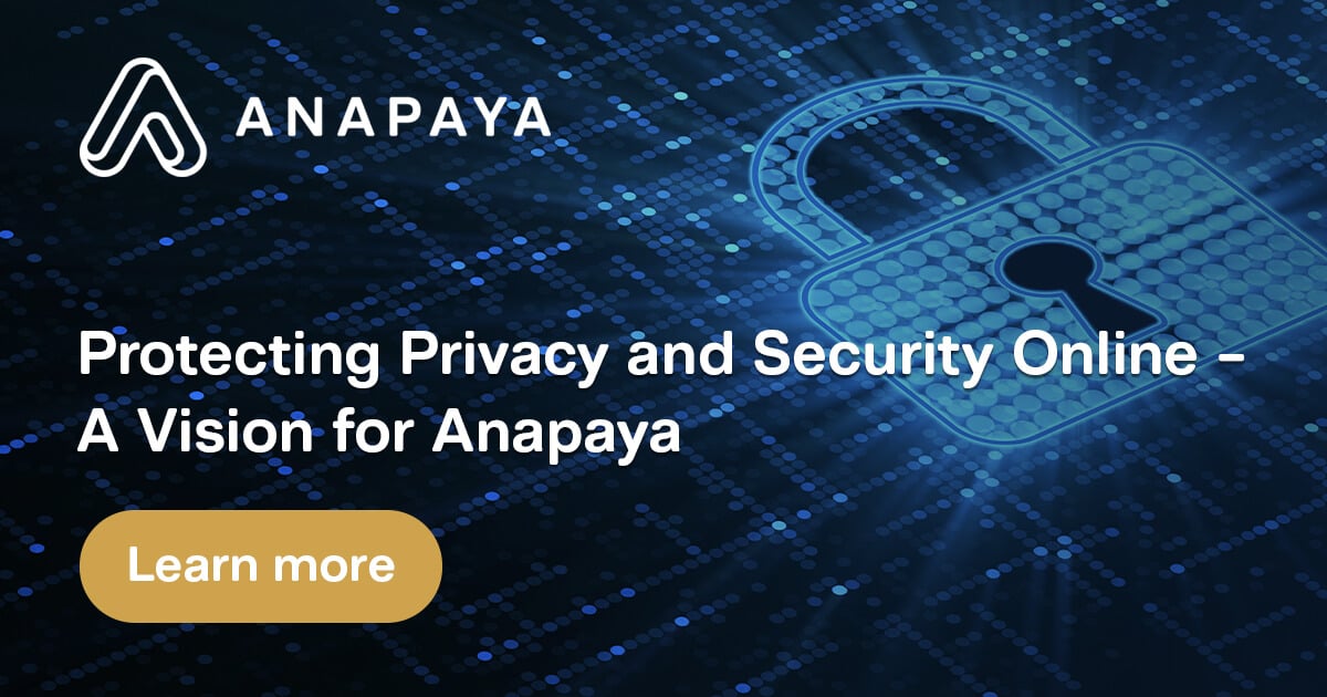 Protecting Privacy and Security Online – A Vision for Anapaya